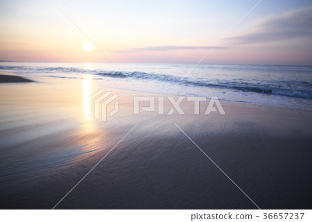 Sea of morning glow (Aichi - Atsumi Peninsula, Pacific Long Beach) Sea of morning glow (Aichi - Atsumi Peninsula, Pacific Long Beach) 36657237