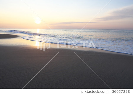 Sea of morning glow (Aichi - Atsumi Peninsula, Pacific Long Beach) Sea of morning glow (Aichi - Atsumi Peninsula, Pacific Long Beach) 36657238