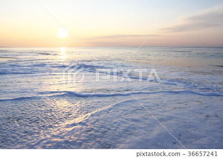晨光之海（愛知縣 - 渥美半島，太平洋長灘） 36657241