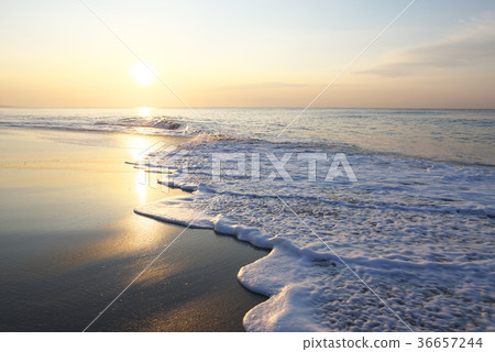 Sea of morning glow (Aichi - Atsumi Peninsula, Pacific Long Beach) 36657244