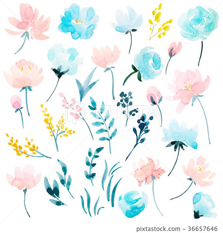 Watercolor floral set Watercolor floral set 36657646