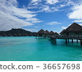 Tahiti 36657698