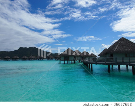 Tahiti Tahiti 36657698