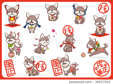 奇瓦瓦06新年 奇瓦瓦06新年 36657828