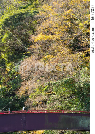 千葉縣富津市Takeoka 12 Tenten Shrine的入口 36657835