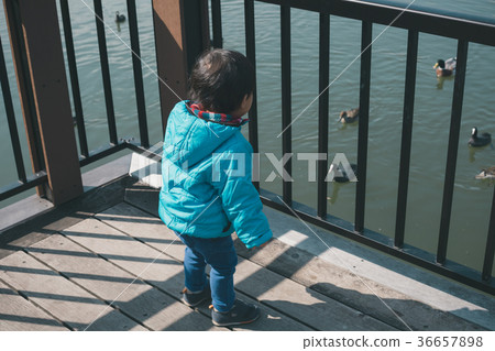 兩歲兒童 兒童 幼兒 36657898