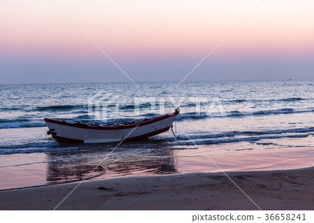Fishing NetsBoat Oars Beach Ocean Dawn 36658241