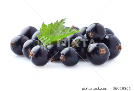 Currant berry in closeup 36659505