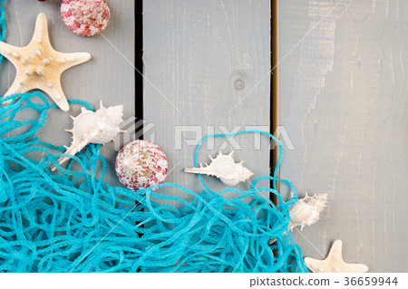 Seashells with blue net on grey wooden background Seashells with blue net on grey wooden background 36659944