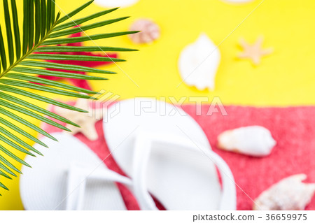 Tropical Background Palm Trees Branches 36659975