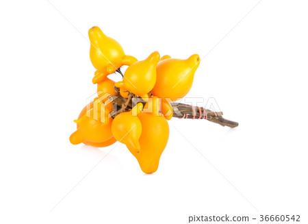 ripe nipplefruit with stem isolated on white ripe nipplefruit with stem isolated on white 36660542