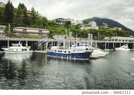 Fishing boats moored at the port of Ketchikan Fishing boats moored at the port of Ketchikan 36661311