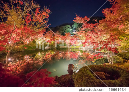 Autumn leaves of Kyoto Eikan-do 36661684