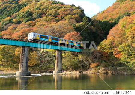 Mizugori線“在山區穿越秋葉和鐵橋” 36662344