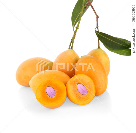 Pile of Bright Orange Yellow Ripe Marian   36662903