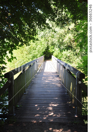 Altmuehlsee in Bavaria 36663246