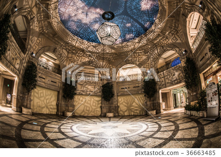 台場/維納斯堡橄欖廣場的照明 台場/維納斯堡橄欖廣場的照明 36663485