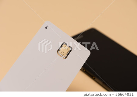 SIM card 36664031