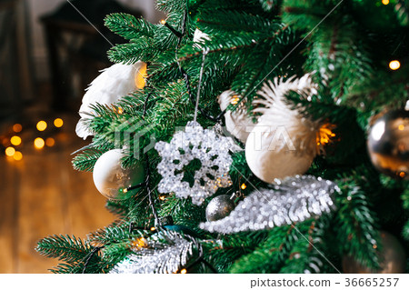 Christmas living room with Christmas tree and gift Christmas living room with Christmas tree and gift 36665257