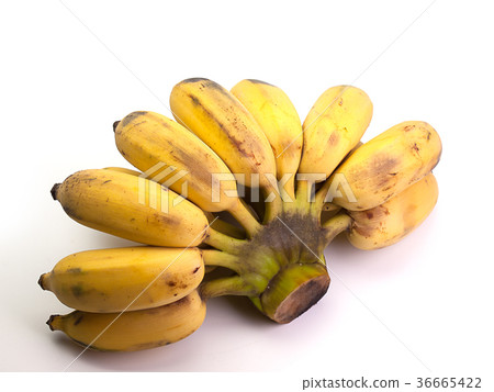 cultivated banana , Healthy fruit. cultivated banana , Healthy fruit. 36665422