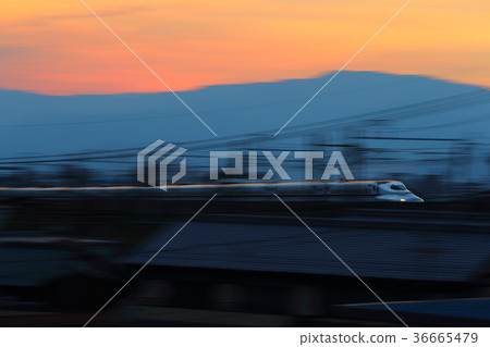 Shinkansen 36665479