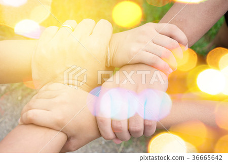 harmonious hand of team work under warm light 36665642