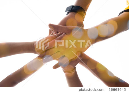 harmonious hand of team work under warm light 36665643