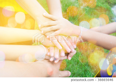 harmonious hand of team work under warm light harmonious hand of team work under warm light 36665646