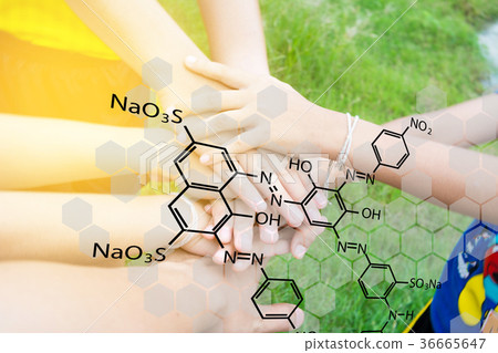 harmonious hand of team work under warm light harmonious hand of team work under warm light 36665647