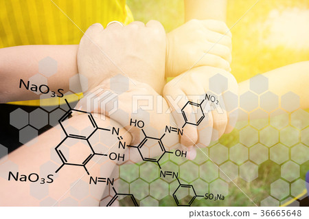 harmonious hand of team work under warm light harmonious hand of team work under warm light 36665648