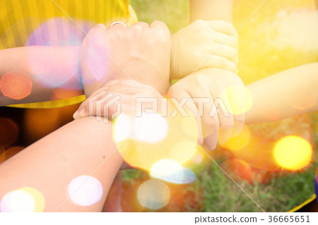 harmonious hand of team work under warm light harmonious hand of team work under warm light 36665651