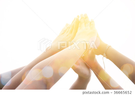 harmonious hand of team work under warm light harmonious hand of team work under warm light 36665652