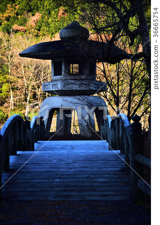 Yukimi Lantern Yukimi Lantern 36665754