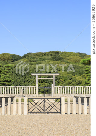 大阪，Daisen Ryo古墓 36665929