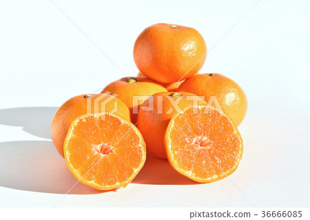 Yamakita橙色 Yamakita橙色 36666085