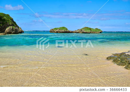 Beach sand beach 36666433