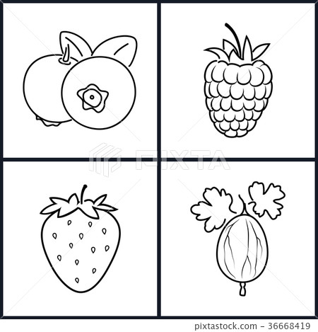 Strawberry,Raspberries, Blueberries, Gooseberry 36668419