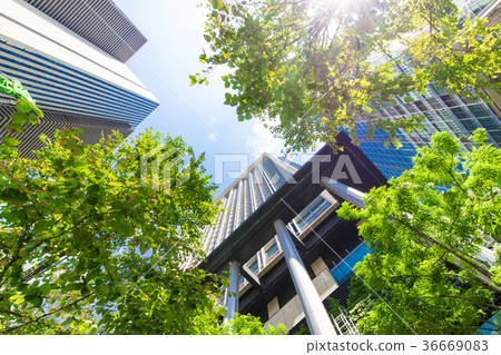 辦公區和綠色的高層建築 36669083