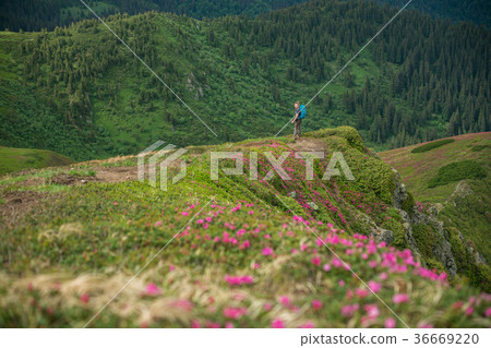 Woman on top of mountain 36669220