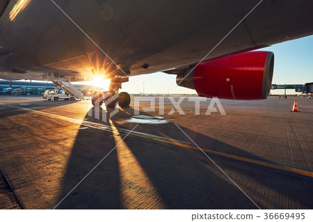 Landing gear of the airplane 36669495
