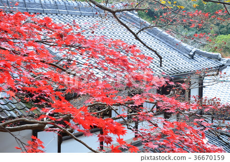 Nemotosanjin Temple Nemotosanjin Temple 36670159