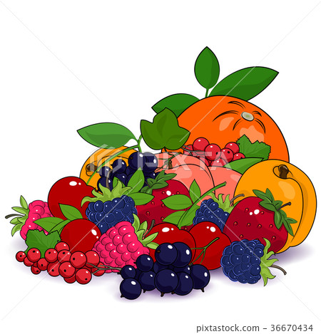Juicy Summer Fruits and Berries Juicy Summer Fruits and Berries 36670434