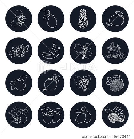 Line Icons of Tropical Fruits and Berries Line Icons of Tropical Fruits and Berries 36670445