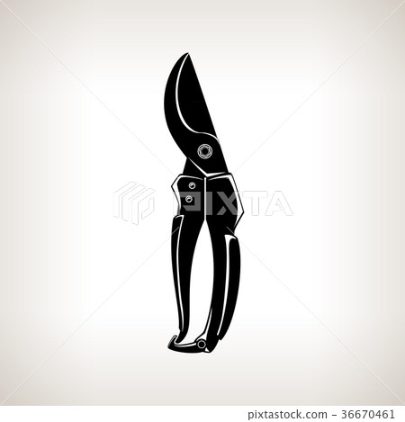 Pruning Shears, Secateur 36670461