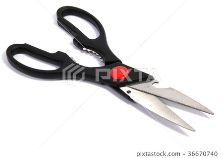 Kitchen scissors shears stainless steel.  36670740