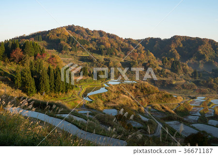 Dawn of the rice terrace of Star Pass Dawn of the rice terrace of Star Pass 36671187