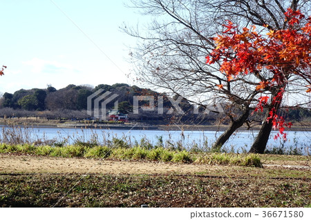 Tataranuma的12月 Tataranuma的12月 36671580