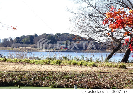 Tataranuma的12月 36671581