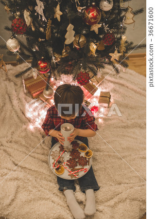 Boy laying under christmas tree with chocolate 36671600