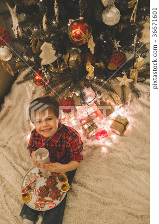 Boy laying under christmas tree with chocolate 36671601